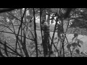 zombie movie