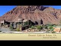 Desert life in Ivins Utah