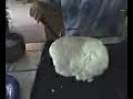 Big pancake!