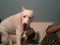 Ford and Duke playing