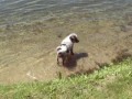 WaterJack