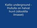 Kallio underground - Hullulla on halvat huvit
