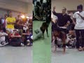 Bgirl T-rith \ Bgirl T-rith \