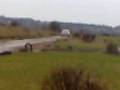 Testing with Jess Gwynne and Dan O\