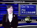 PMテクニカル分ਜ਼...