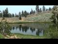 videos de Bongo Fetch Near Upper Boulder Lake / Trinity Alps