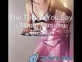 Cicada - The things u say (album version)