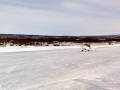 videos de SE-YVX Super Koala with HKS 700E starting at Pirttivuopio