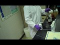EVT 105 Biodiesel Lab Primer (pt II)