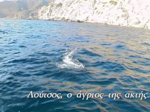 ψαρεμα - Ένα ψαρευτικό ταξίδι στη Σητεία, που περιλαμβάνει ψάρεμα από την ακτή με καλάμι roubagiene, αλλά και ψάρεμα με συρτή για λούτσους, τους...