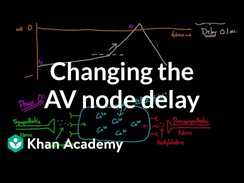 how to provide delay in c