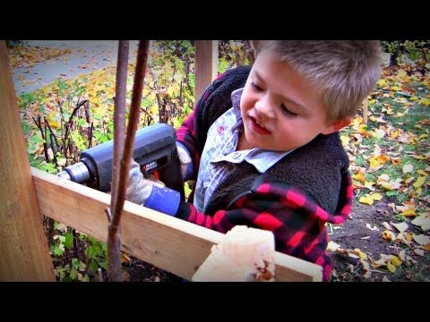 how to transplant sumac