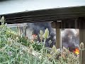 Grottoes Rescue I-81 wreck 7-19-08 #3