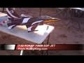 T-50 RoKaf RC 70mm EDF Jet - Retracts - Canopy - Maiden Flight 7-10-2011
