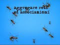 Pixel rete di associazioni