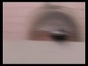 Schwein entlaufen