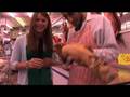 Jade Fitton presents Mind The Gap: The Butchers