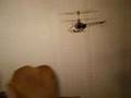 Flying an esky lama all over the house and around my friends