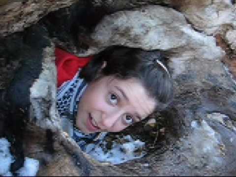 Glymur - Adhesión a Rutas Miguel