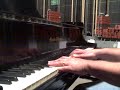 free bird on the grand piano free bird on the grand piano