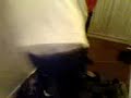 jackass 3