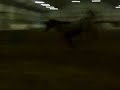 imp rolling