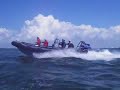 RIB Adventure by Dolphin RIBS northsea RIB Adventure by Dolphin RIBS northsea
