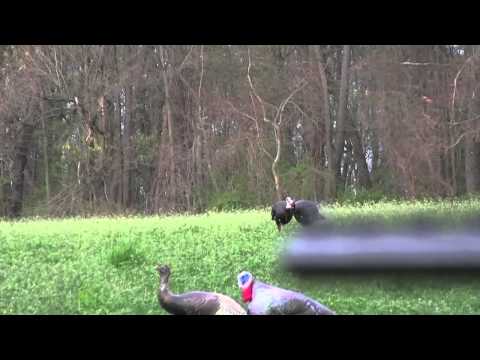 2013 Turkey Hunting– Henry Nieto — Face 2 Face Outdoors