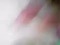 aaa