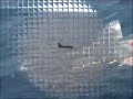 Low Flying A7 Corsair