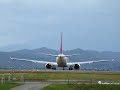 ????/JAL?????? B737-800????? ??2