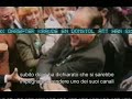 Berlusconi spot  svedese
