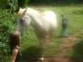 KIds Loving on suprize and coffee