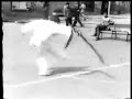 SunZhiJun Bagau Dao