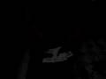 Card Sleight.avi
