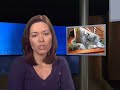 Concrete Water Feature Video - ConcreteNetwork.com