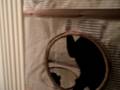 PB090007.AVI