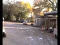 videos de Trevecca Cannon 12
