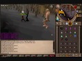 Runescape 1st SOLO lure 1mil loot [whip] - 2011