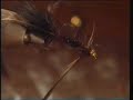 Tying Brush Marabou Bugger Tying Brush Marabou Bugger