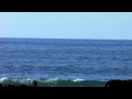 2 Whales off El Zonte beach in El Salvador
