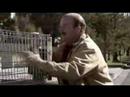 Cart Whisperer Returns Cart Whisperer Returns