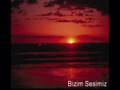 Turnam Yavuz Bing�l