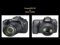 Canon EOS 7D vs Nikon D300s Comparison