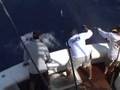 BIG SWORDFISH ON THE GET LIT with Capt. QUINTON