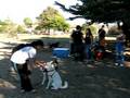videos de Rescued Shiba now happy and free