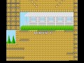the new zealand story (europe) for nes
