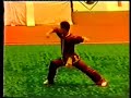 A Tribute To Li Yan Long - Wushu - Old School A Tribute To Li Yan Long - Wushu - Old School