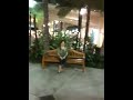 Mama Ester @ Shops At Wailea
