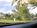 Navua Bridge and houses